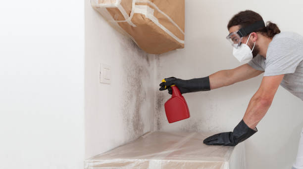 Professional Basement Mold Remediation technician working in Barclay, NJ