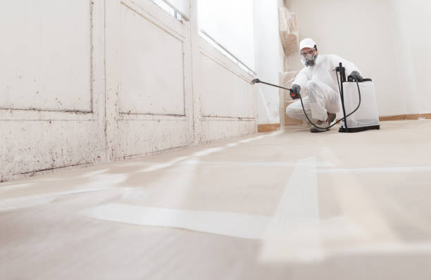 24/7 Emergency Basement Mold Remediation experts in Barclay, NJ