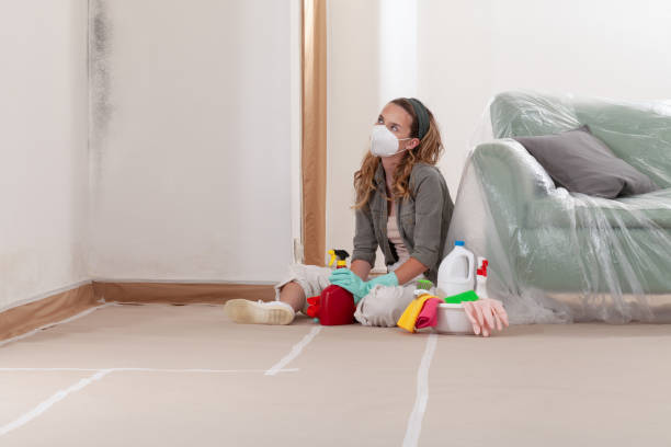 Reliable Basement Mold Remediation contractor in Barclay, NJ by WQB Mold Removal