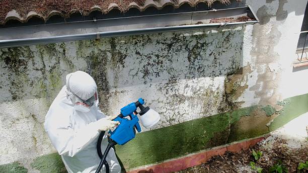 Top rated local Basement Mold Remediation specialists in Barclay, NJ
